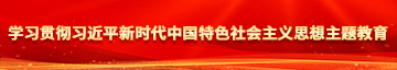 视频版把小女生小B穴操高潮了学习贯彻习近平新时代中国特色社会主义思想主题教育